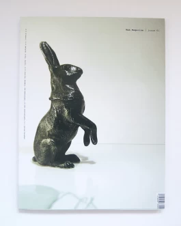 Daniel Annbjer – Design & Creative Direction