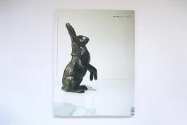 Daniel Annbjer - Graphic Design & Art Direction