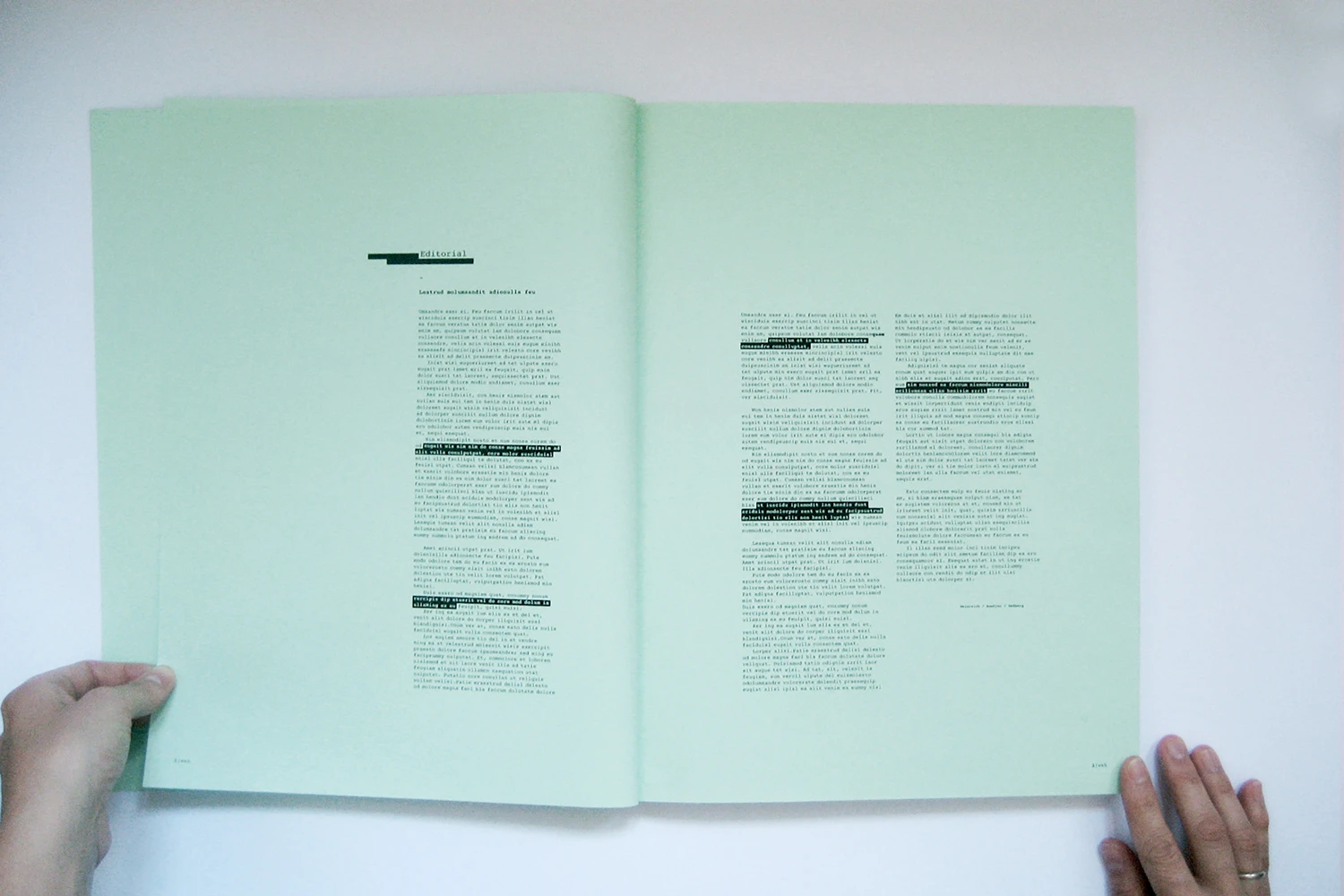 Daniel Annbjer - Graphic Design & Art Direction