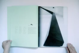 Daniel Annbjer – Design & Creative Direction