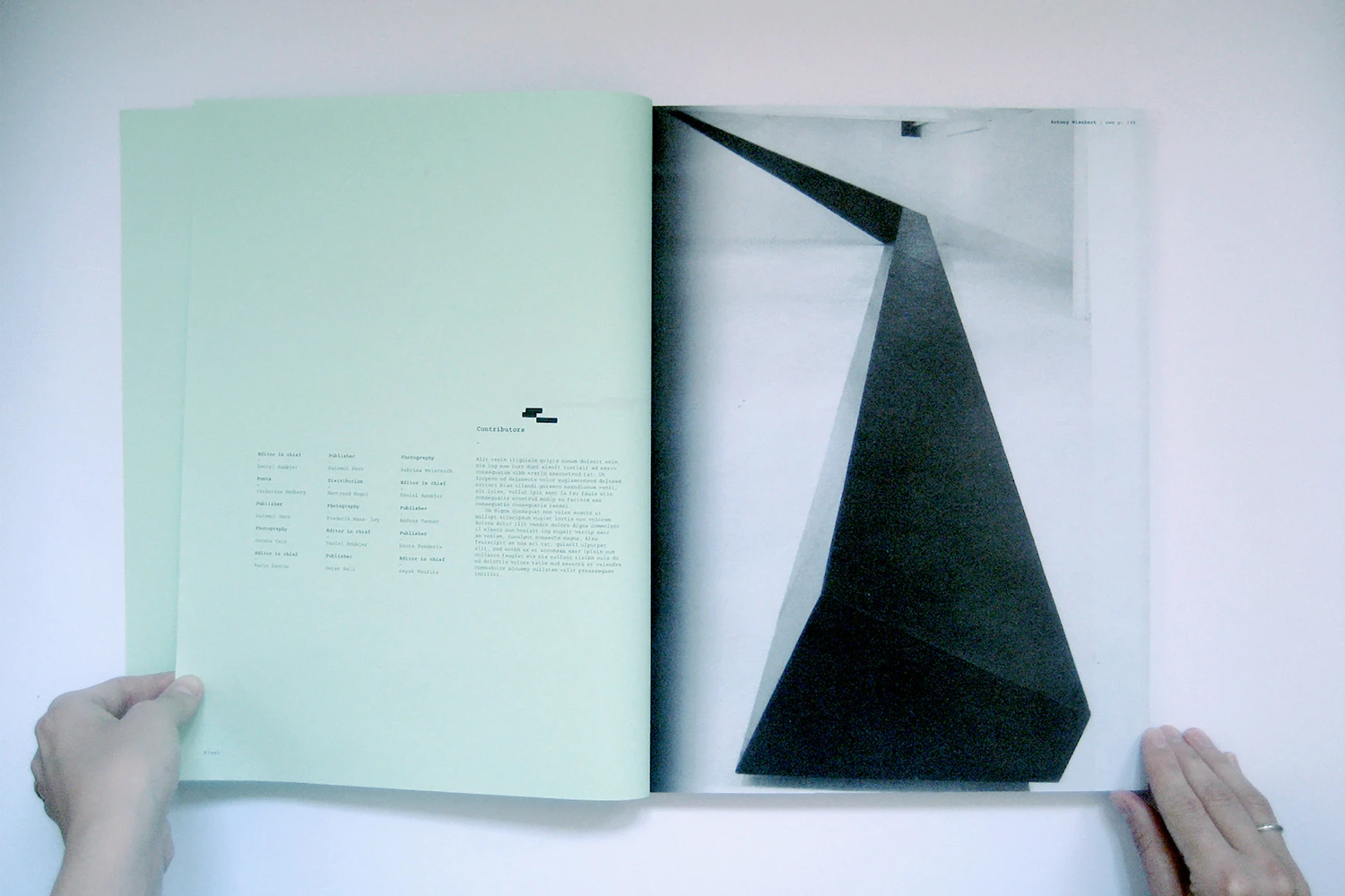 Daniel Annbjer - Graphic Design & Art Direction